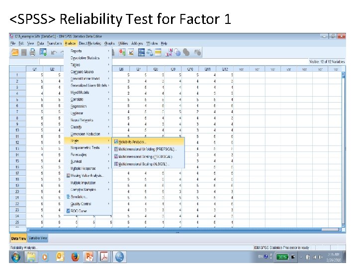 <SPSS> Reliability Test for Factor 1 