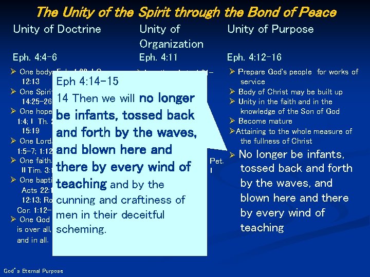 The Unity of the Spirit through the Bond of Peace Unity of Doctrine Unity