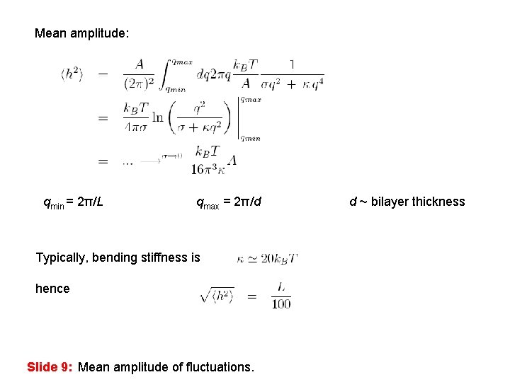 Mean amplitude: qmin = 2π/L qmax = 2π/d Typically, bending stiffness is hence Slide