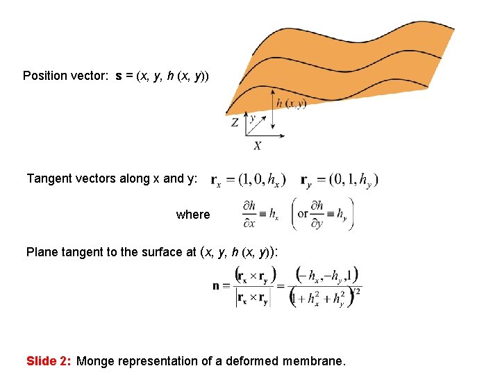 Position vector: s = (x, y, h (x, y)) Tangent vectors along x and