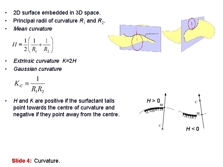  • • • 2 D surface embedded in 3 D space. Principal radii