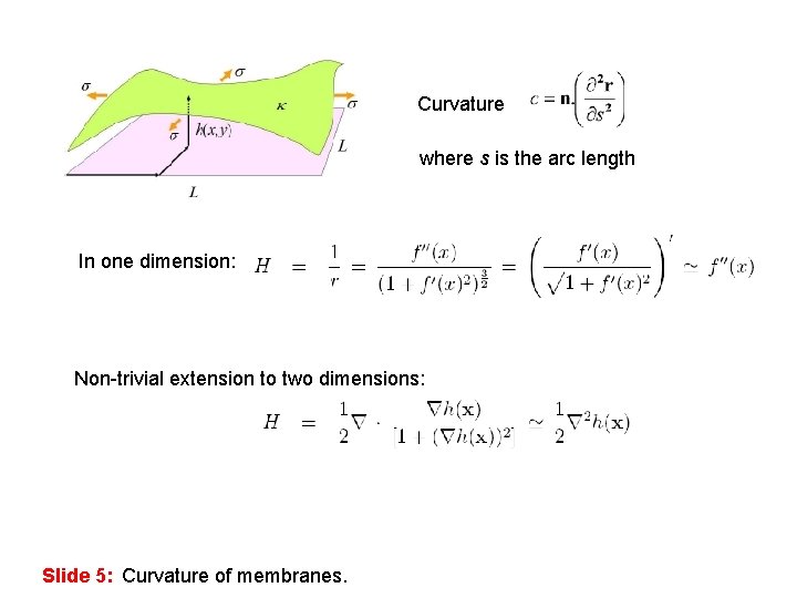 Curvature where s is the arc length In one dimension: Non-trivial extension to two