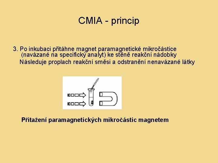 CMIA - princip 3. Po inkubaci přitáhne magnet paramagnetické mikročástice (navázané na specifický analyt)