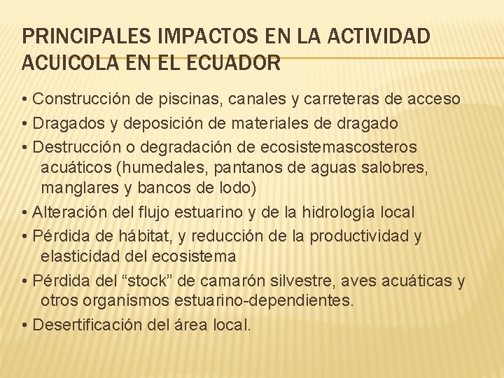 PRINCIPALES IMPACTOS EN LA ACTIVIDAD ACUICOLA EN EL ECUADOR • Construcción de piscinas, canales