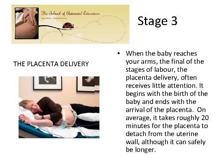Stage 3 THE PLACENTA DELIVERY • When the baby reaches your arms, the final