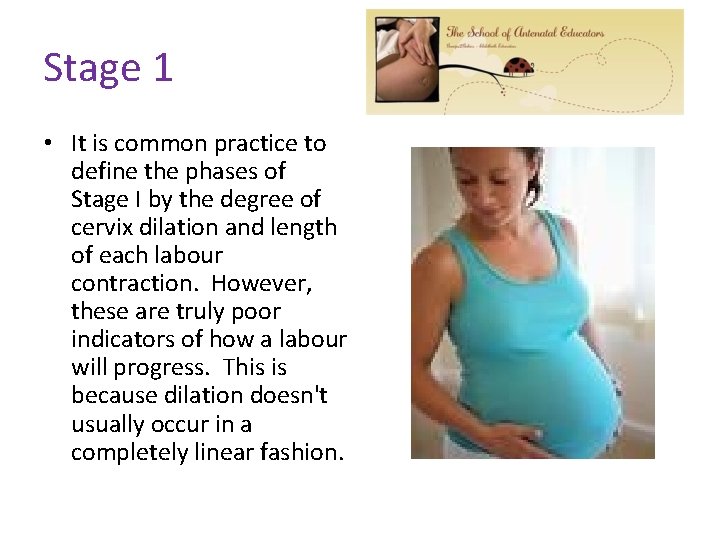 Stage 1 • It is common practice to define the phases of Stage I