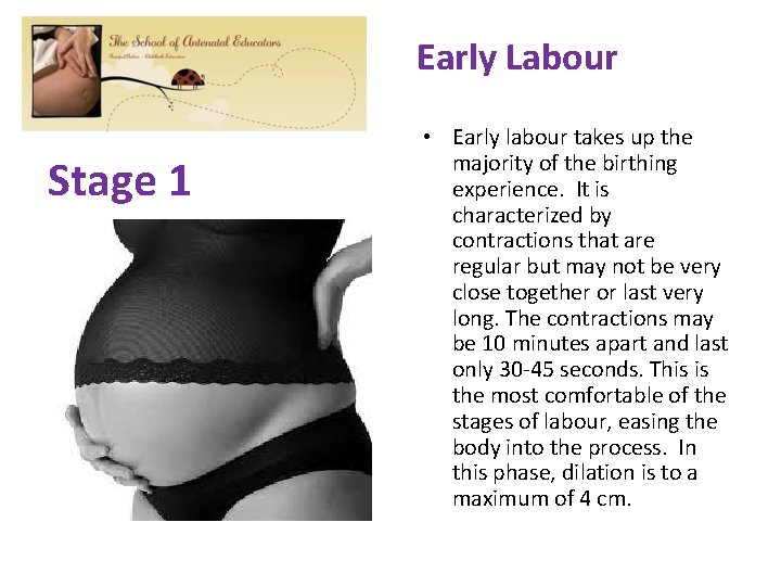 Early Labour Stage 1 • Early labour takes up the majority of the birthing