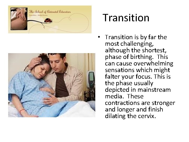Transition • Transition is by far the most challenging, although the shortest, phase of