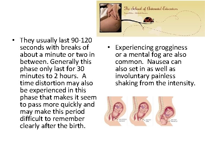  • They usually last 90 -120 seconds with breaks of about a minute