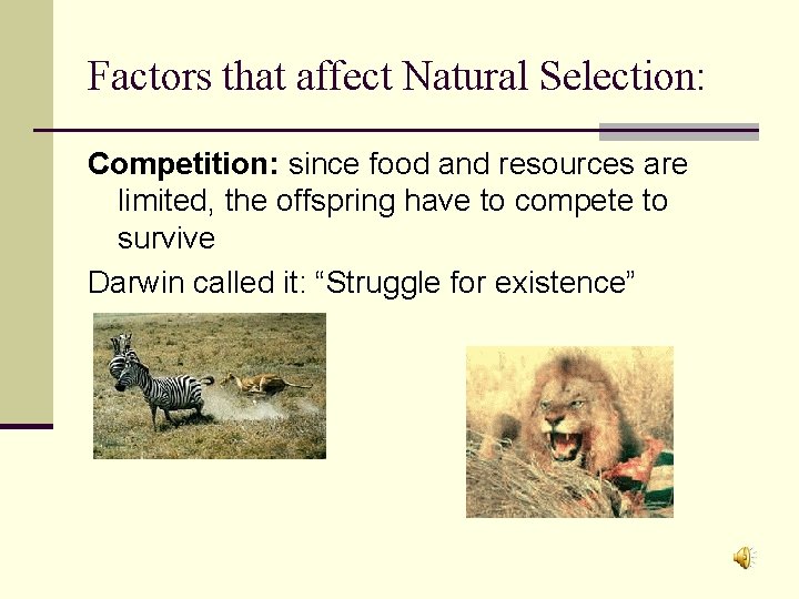Factors that affect Natural Selection: Competition: since food and resources are limited, the offspring