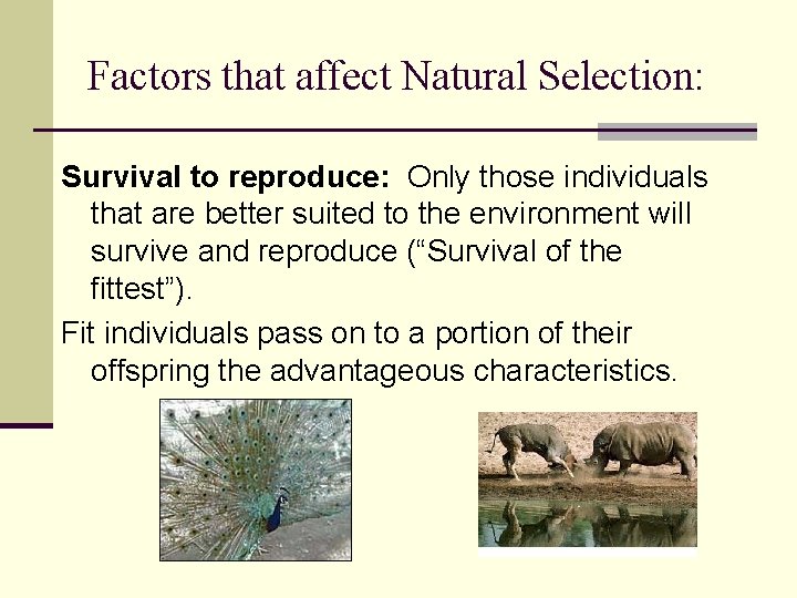 Factors that affect Natural Selection: Survival to reproduce: Only those individuals that are better