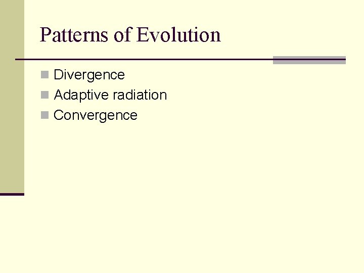 Patterns of Evolution n Divergence n Adaptive radiation n Convergence 