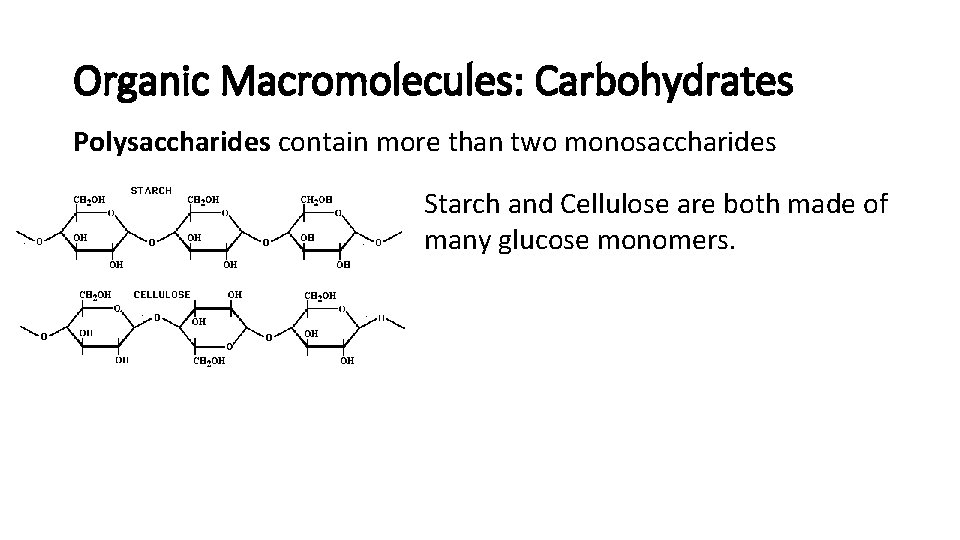 Organic Macromolecules: Carbohydrates Polysaccharides contain more than two monosaccharides Starch and Cellulose are both