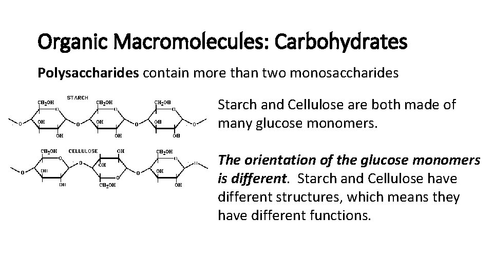 Organic Macromolecules: Carbohydrates Polysaccharides contain more than two monosaccharides Starch and Cellulose are both Organic Macromolecules: Carbohydrates Polysaccharides contain more than two monosaccharides Starch and Cellulose are both