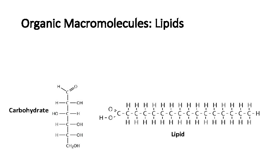 Organic Macromolecules: Lipids Carbohydrate Lipid 