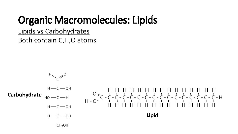 Organic Macromolecules: Lipids vs Carbohydrates Both contain C, H, O atoms Carbohydrate Lipid 