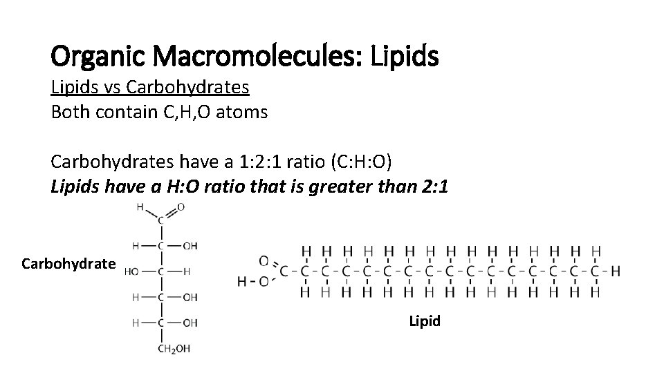 Organic Macromolecules: Lipids vs Carbohydrates Both contain C, H, O atoms Carbohydrates have a