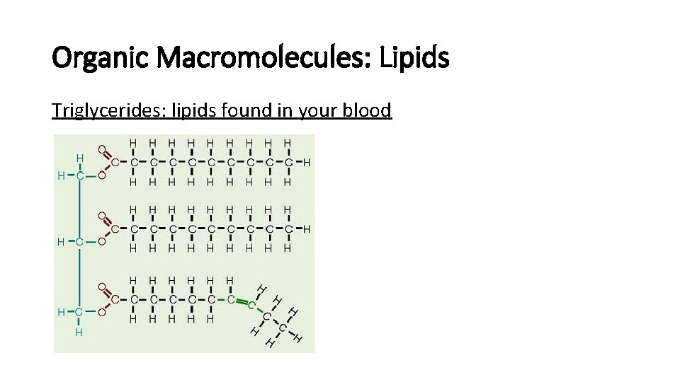 Organic Macromolecules: Lipids Triglycerides: lipids found in your blood 