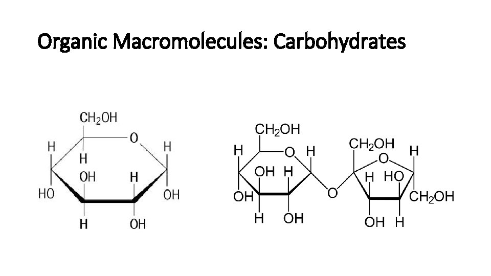 Organic Macromolecules: Carbohydrates 