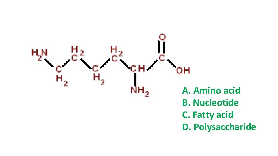 A. Amino acid B. Nucleotide C. Fatty acid D. Polysaccharide A. Amino acid B. Nucleotide C. Fatty acid D. Polysaccharide