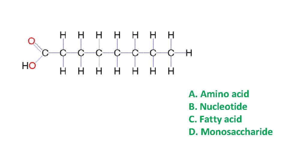 A. Amino acid B. Nucleotide C. Fatty acid D. Monosaccharide A. Amino acid B. Nucleotide C. Fatty acid D. Monosaccharide