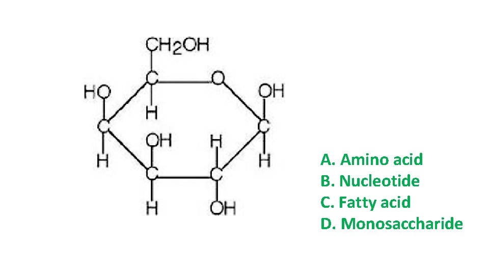 A. Amino acid B. Nucleotide C. Fatty acid D. Monosaccharide A. Amino acid B. Nucleotide C. Fatty acid D. Monosaccharide