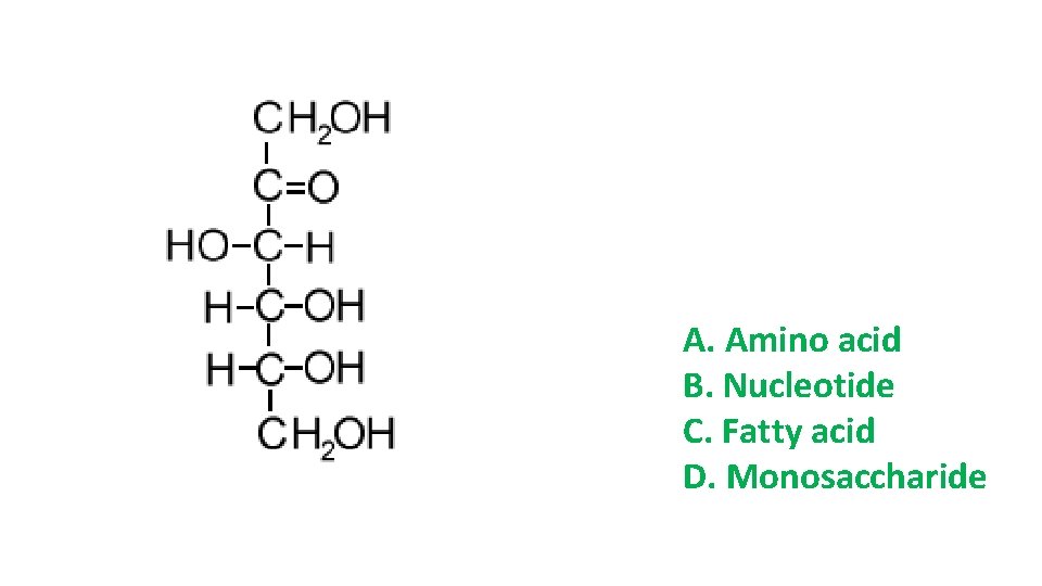 A. Amino acid B. Nucleotide C. Fatty acid D. Monosaccharide A. Amino acid B. Nucleotide C. Fatty acid D. Monosaccharide