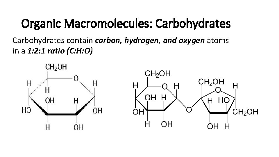 Organic Macromolecules: Carbohydrates contain carbon, hydrogen, and oxygen atoms in a 1: 2: 1