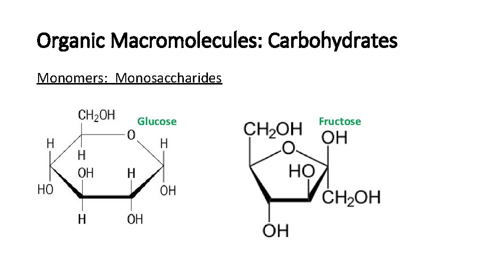 Organic Macromolecules: Carbohydrates Monomers: Monosaccharides Glucose Fructose 