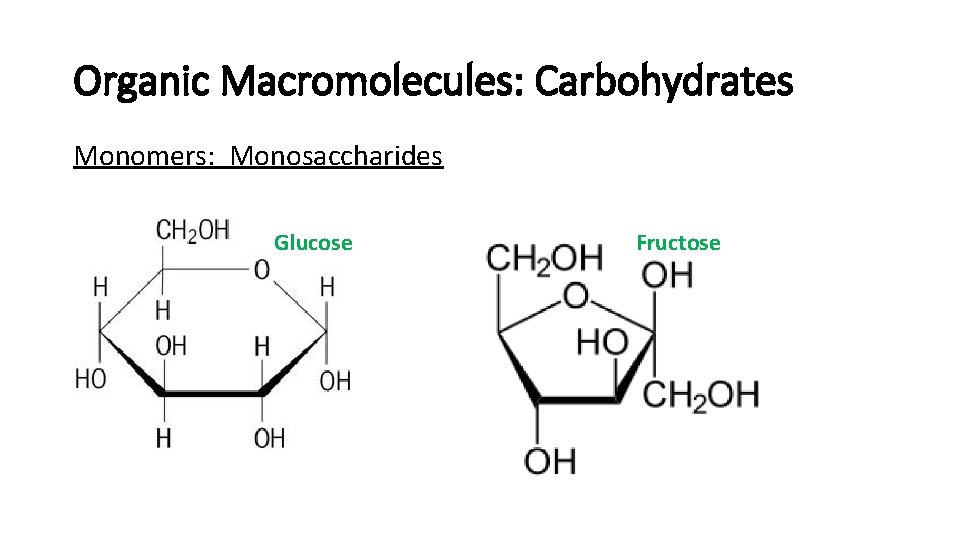 Organic Macromolecules: Carbohydrates Monomers: Monosaccharides Glucose Fructose Organic Macromolecules: Carbohydrates Monomers: Monosaccharides Glucose Fructose
