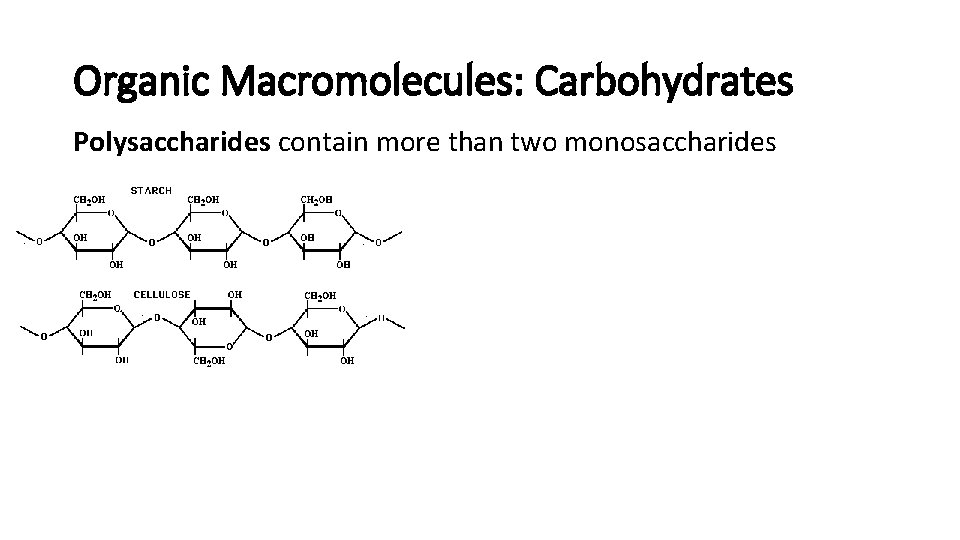 Organic Macromolecules: Carbohydrates Polysaccharides contain more than two monosaccharides 