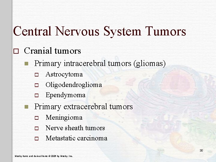 Central Nervous System Tumors o Cranial tumors n Primary intracerebral tumors (gliomas) o o