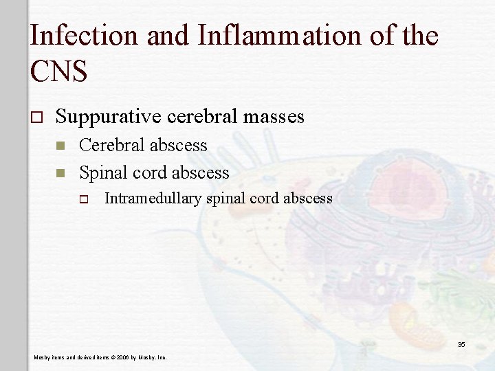 Infection and Inflammation of the CNS o Suppurative cerebral masses n n Cerebral abscess