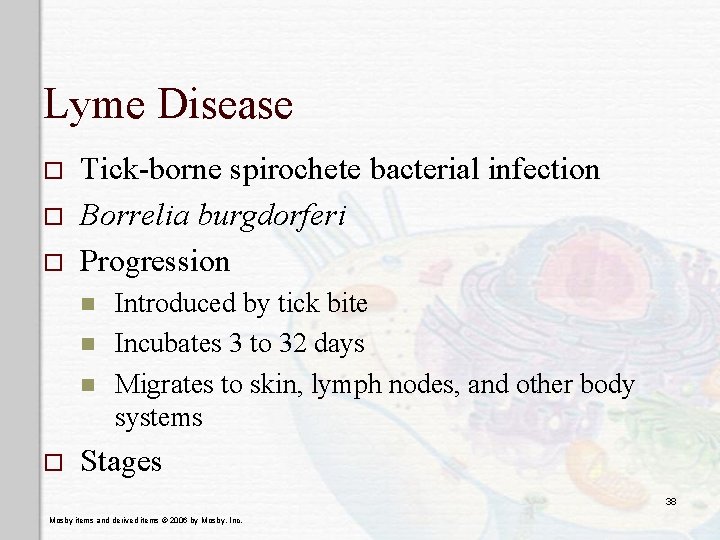 Lyme Disease o o o Tick-borne spirochete bacterial infection Borrelia burgdorferi Progression n o