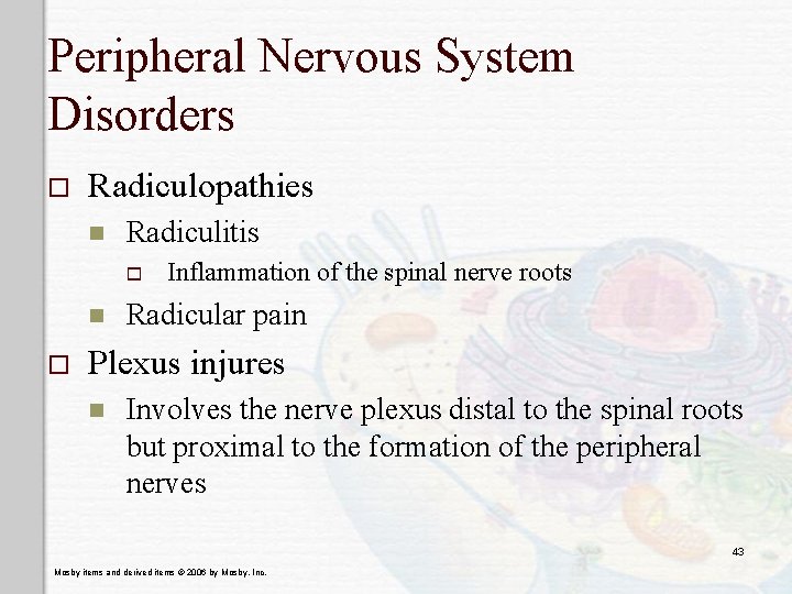 Peripheral Nervous System Disorders o Radiculopathies n Radiculitis o n o Inflammation of the