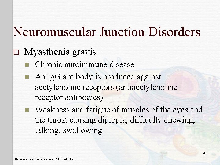 Neuromuscular Junction Disorders o Myasthenia gravis n n n Chronic autoimmune disease An Ig.