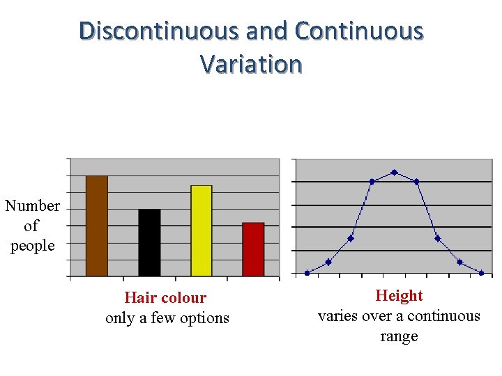 Discontinuous and Continuous Variation Number of people Hair colour only a few options Height