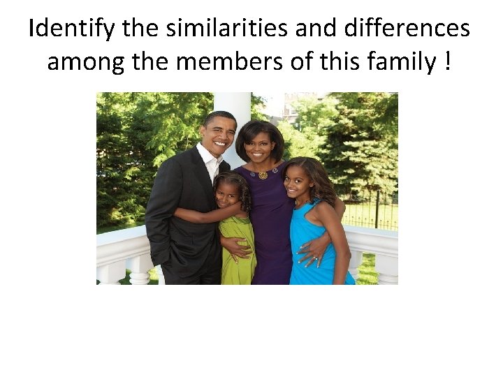 Identify the similarities and differences among the members of this family ! v. Look