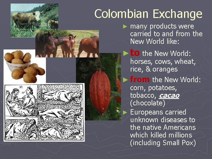 Colombian Exchange ► many products were carried to and from the New World like: