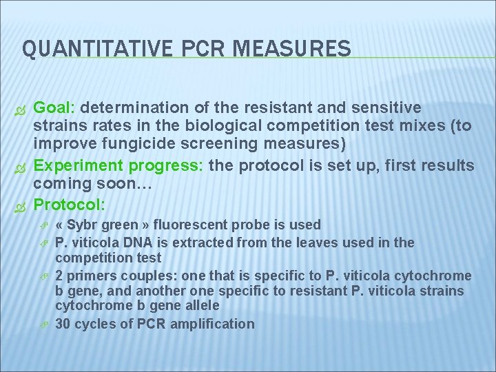 QUANTITATIVE PCR MEASURES Goal: determination of the resistant and sensitive strains rates in the