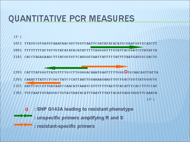 QUANTITATIVE PCR MEASURES (5’) 1021 TTATGCGTGATGTAAATAACGGTTAATTCGATATATACATGCGAATGGTGCATCTT 1081 TTTTATTGTTGTATACATATTTTTAGGGGTTTGTATTACGGATCTTATATTA 1141 CACCTAGAGAAGCTTTATGGTGTTCAGGGGTAATTATTTTAATGATGGCGACTG 1201 CATTTATGGGTTATGTTTTGCCTTGGGGACAAATGAGTTTTTGGGGTGCAACAGTTATTA 1261 CAAATTTATTCTCGGCTATCCCATTAATTGGAAAAGAAGTTGTTGACTGGTTATGGGGTG