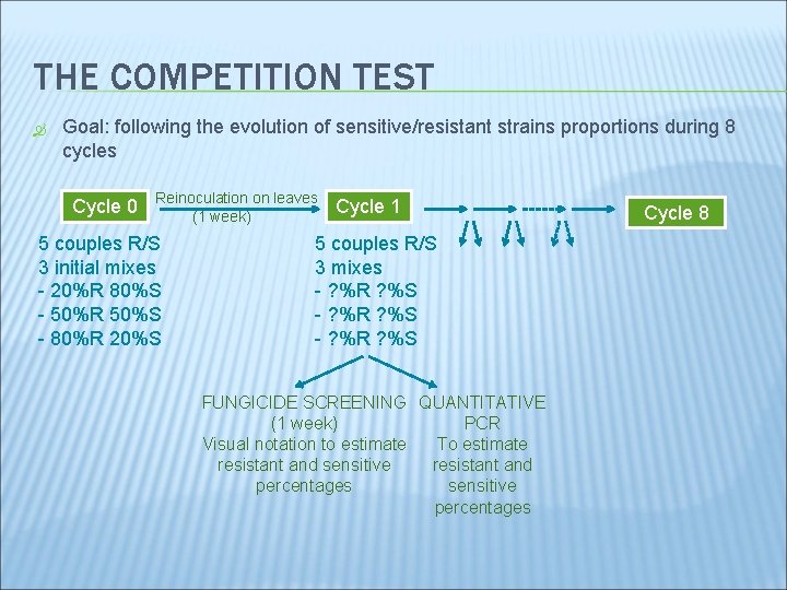 THE COMPETITION TEST Goal: following the evolution of sensitive/resistant strains proportions during 8 cycles