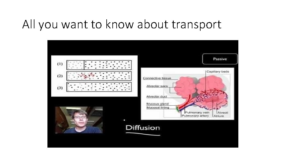 All you want to know about transport 
