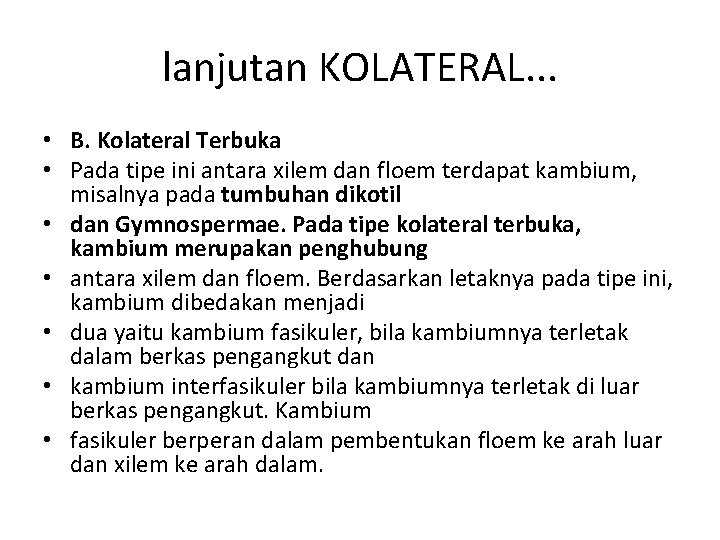 lanjutan KOLATERAL. . . • B. Kolateral Terbuka • Pada tipe ini antara xilem