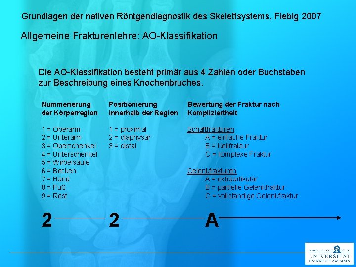 Grundlagen der nativen Röntgendiagnostik des Skelettsystems, Fiebig 2007 Allgemeine Frakturenlehre: AO-Klassifikation Die AO-Klassifikation besteht