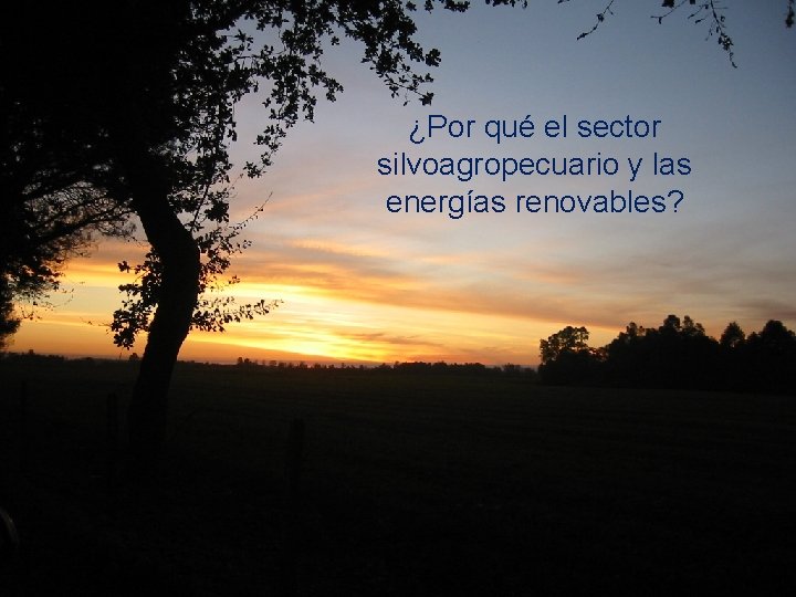 ¿Por qué el sector silvoagropecuario y las energías renovables? 