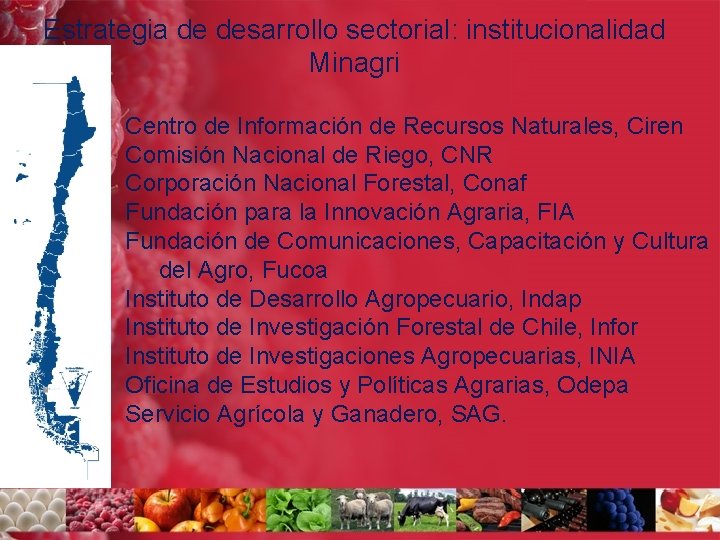Estrategia de desarrollo sectorial: institucionalidad Minagri Centro de Información de Recursos Naturales, Ciren Comisión