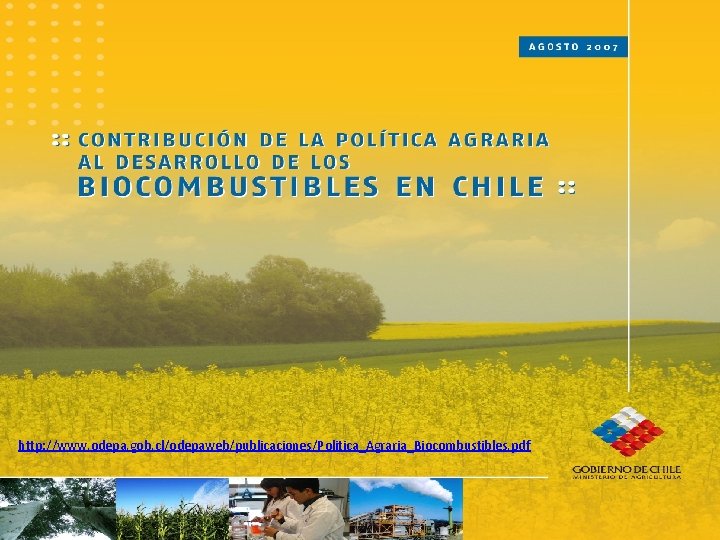 http: //www. odepa. gob. cl/odepaweb/publicaciones/Politica_Agraria_Biocombustibles. pdf 27 