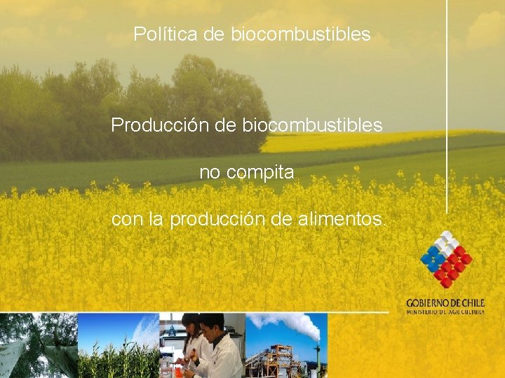 Política de biocombustibles Producción de biocombustibles no compita con la producción de alimentos. 