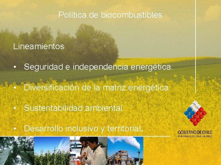 Política de biocombustibles Lineamientos • Seguridad e independencia energética. • Diversificación de la matriz